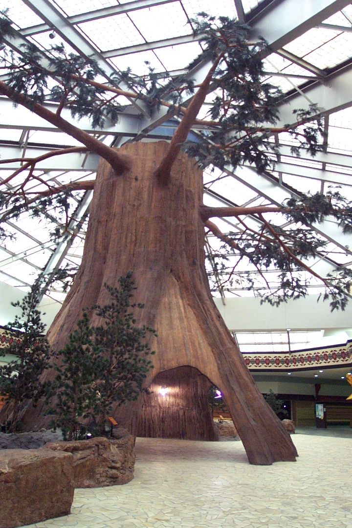 Wilderness Mall giant ridiculous tree in Joliet, IL